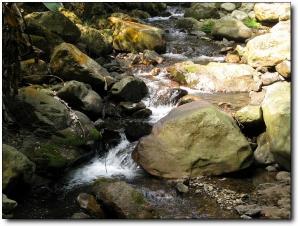 溪源峡谷_延平溪源峡谷_溪源峡谷