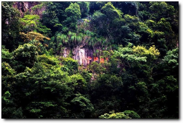 溪源峡谷_延平溪源峡谷_溪源峡谷