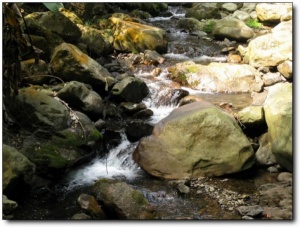 溪源峡谷_延平溪源峡谷_溪源峡谷