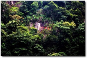 溪源峡谷_延平溪源峡谷_溪源峡谷