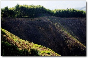 溪源峡谷_延平溪源峡谷_溪源峡谷