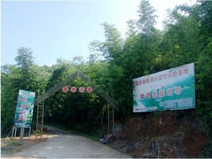 宁德桃源山庄_福安桃源山庄(福建宁德)_桃源山庄