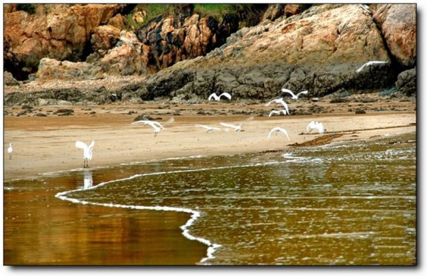 宁德大京沙滩_霞浦大京沙滩(福建宁德)_大京沙滩