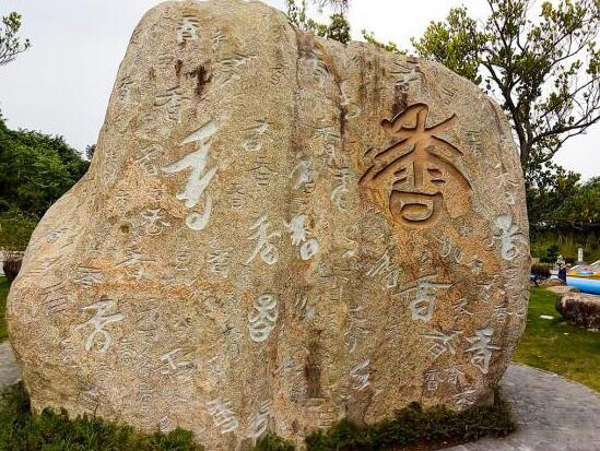 千香石2_美翻了！翔安这香山50亩花海绽放，小伙伴们约起来！