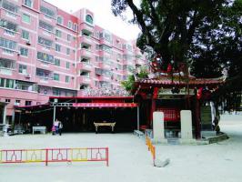 同安大同街道碧岳五甲里[后河宫] - 祀田都元帅 (4)_同安大同街道碧岳五甲里后河宫-祀田都元帅