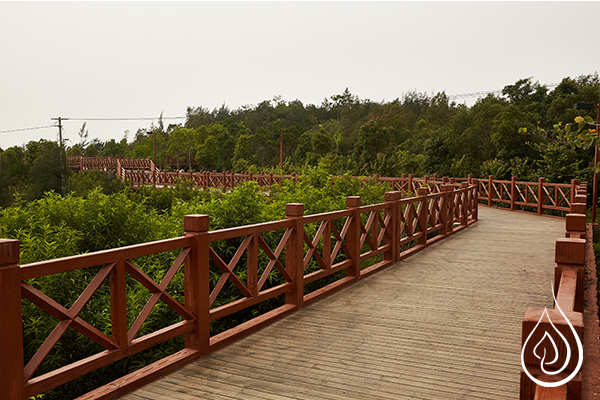 厦门翔安观音寺 (3)_厦门翔安观音寺