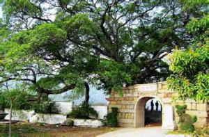 翔安内厝镇后垵村小盈岭上的[盈岭寺] - 观音 (1)_翔安内厝镇后垵村小盈岭上的盈岭寺-观音