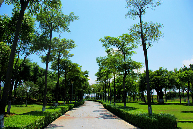 扬帆公园 (9)_扬帆公园