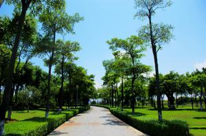 扬帆公园 (9)_扬帆公园