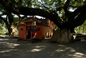 霍童古镇-龙王宫_霍童古镇