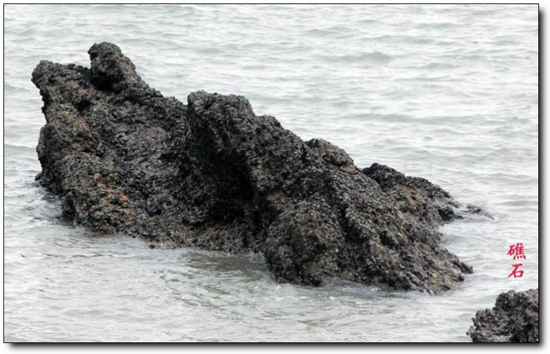 大兔屿 (5)_大兔屿