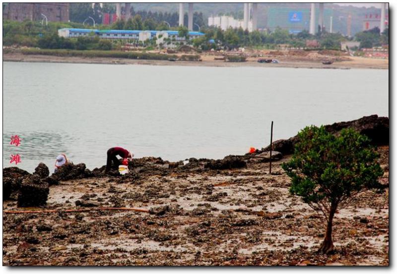 大兔屿 (6)_大兔屿