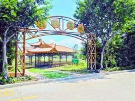 东孚大曦山公园 (4)_大曦山薰衣草公园好玩吗_大曦山薰衣草公园怎么去(在哪里)_大曦山薰衣草公园门票多少钱?_大曦山薰衣草公园