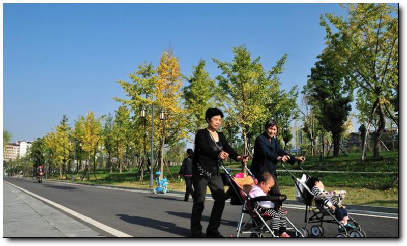 滨湖路 (2)_滨湖路好玩吗_滨湖路怎么去(在哪里)_滨湖路门票多少钱?_滨湖路