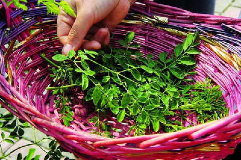 李老根休闲山庄 (1)_李老根休闲山庄