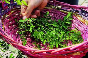 李老根休闲山庄 (1)_李老根休闲山庄