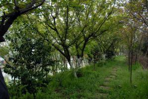 磊鑫缘休闲农庄 (2)_磊鑫缘休闲农庄