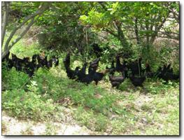 磊鑫缘休闲农庄 (1)_磊鑫缘休闲农庄