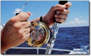 加海游艇 (4)_加海游艇好玩吗_加海游艇怎么去(在哪里)_加海游艇门票多少钱?_加海游艇