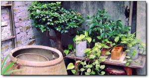 曾厝垵南乐旅馆 (3)_曾厝垵南乐旅馆怎么去(在哪里)_曾厝垵南乐旅馆多少钱?_曾厝垵南乐旅馆好玩吗_曾厝垵南乐旅馆