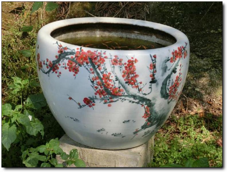 东坪山开心农场 (1)_东坪山开心农场