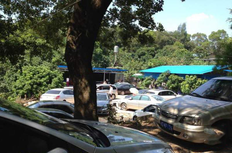 老山林农家乐 (5)_老山林农家乐