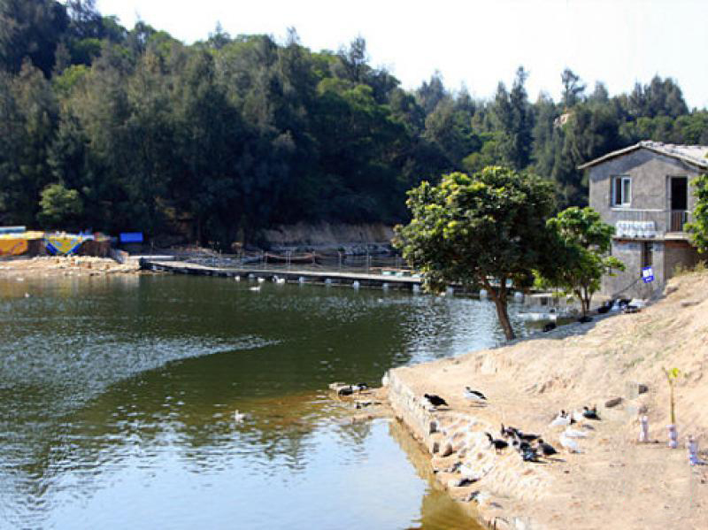 山水情饭庄 (4)_山水情饭庄