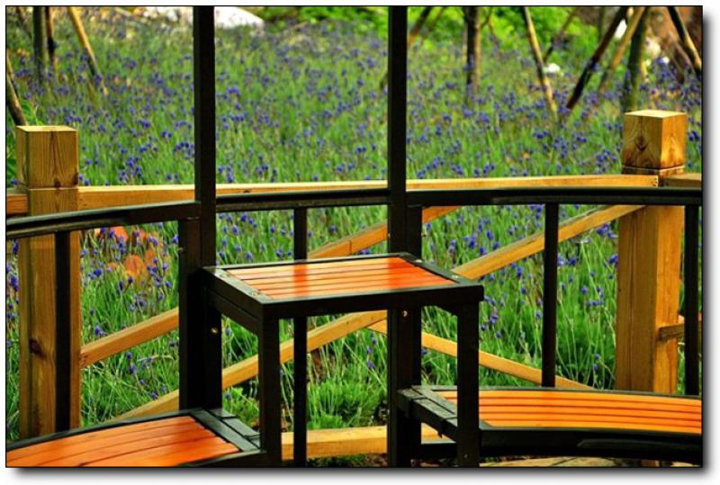 香草园 (3)_香草园