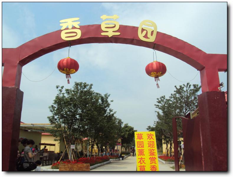 香草园 (6)_香草园