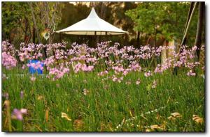 香草园 (1)_香草园