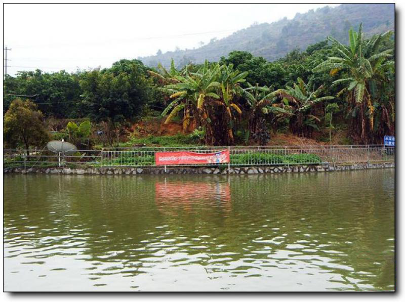 前垵湾 (5)_前垵湾