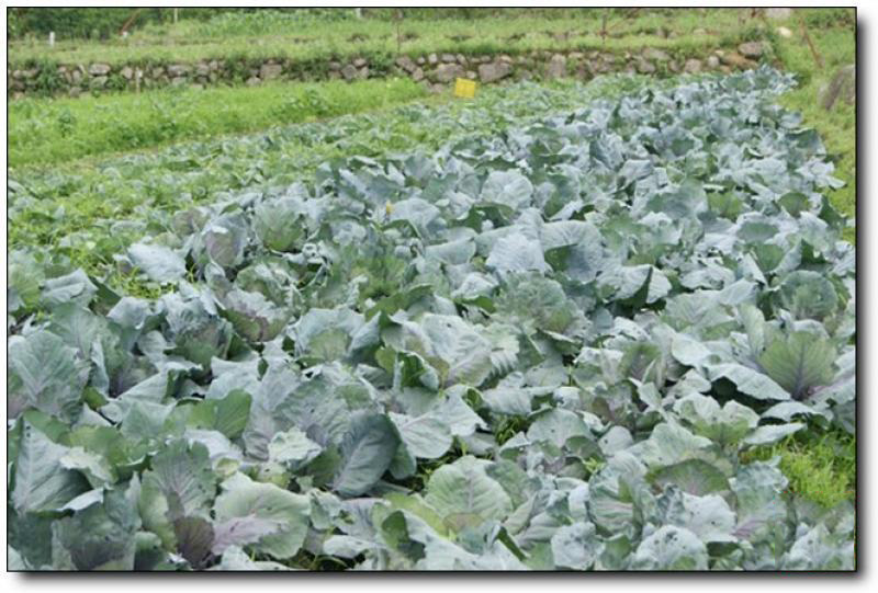 听溪农庄 (5)_听溪农庄