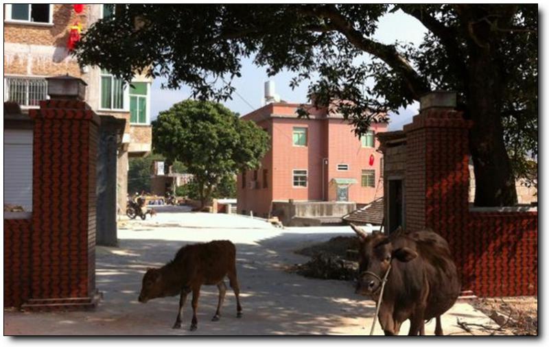 昭远庄 (2)_昭远庄