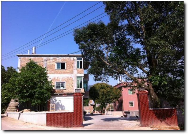 昭远庄 (4)_昭远庄