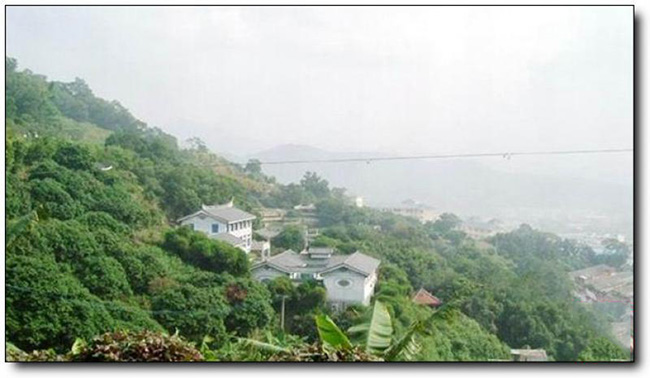 凤山森林公园 (4)_凤山森林公园