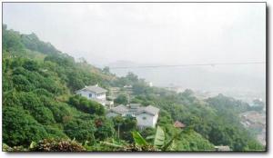 凤山森林公园 (4)_凤山森林公园