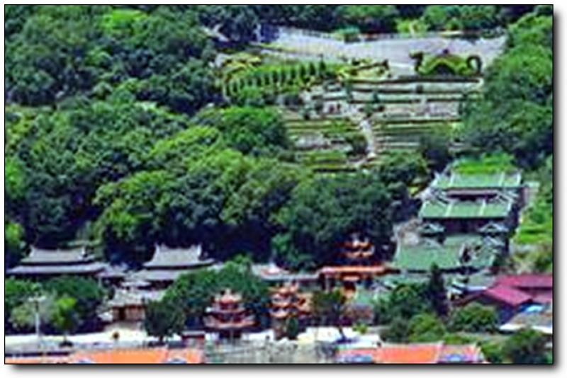 凤山茶园 (5)_凤山茶园