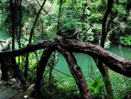 安溪龙门森林公园 (1)_安溪龙门森林公园