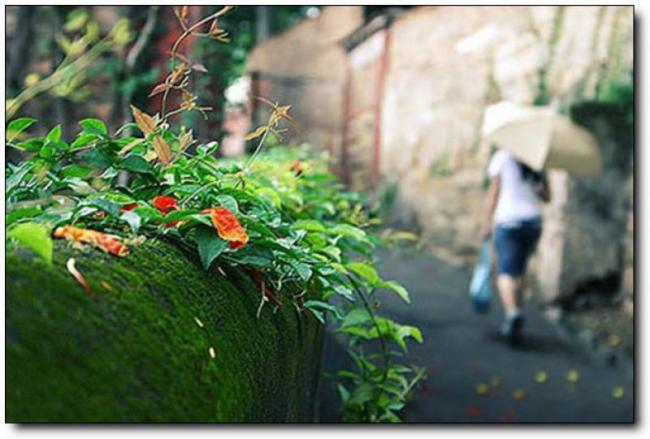 十里诗廊 (1)_十里诗廊