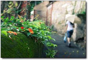 十里诗廊 (1)_十里诗廊