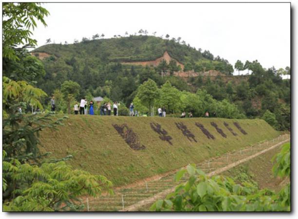 华祥苑生态茶庄园 (2)_华祥苑生态茶庄园