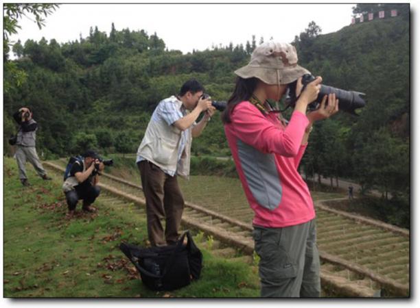 华祥苑生态茶庄园 (6)_华祥苑生态茶庄园