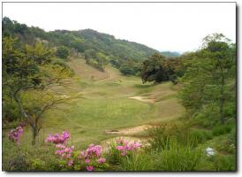 武陵农场 (2)_武陵农场