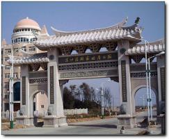 晋江深沪湾海底古森林 (6)_晋江深沪湾海底古森林