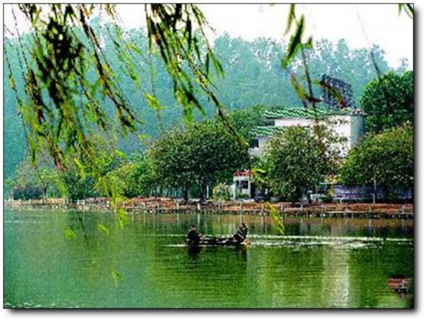 鲤城江南公园 (6)_鲤城江南公园