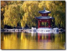 鲤城江南公园 (4)_鲤城江南公园