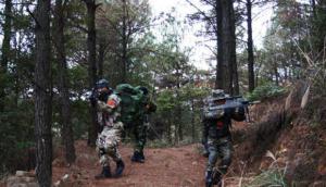 鲤城龙岭潭龙山庄 (4)_鲤城龙岭潭龙山庄