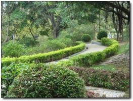 鲤城仙公山公园 (6)_鲤城仙公山公园