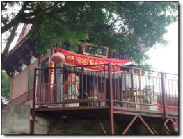 鲤城仙公山公园 (5)_鲤城仙公山公园