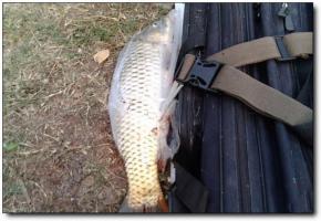 南安八月湖钓鱼基地 (3)_南安八月湖钓鱼基地